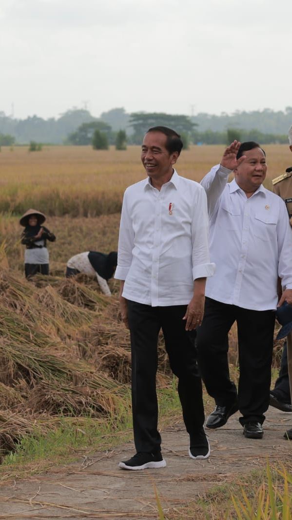 Projo: Kami Memiliki Pandangan Jokowi akan Dukung Prabowo di Pilpres 2024