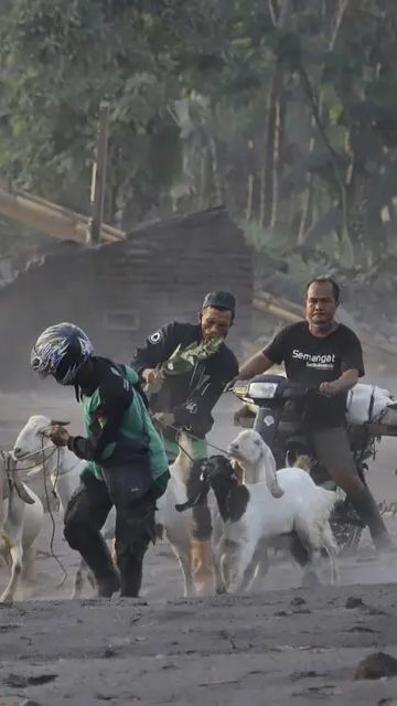 Penyebab Banjir Lahar Dingin yang Perlu Diwaspadai, Begini Cara Mengantisipasinya