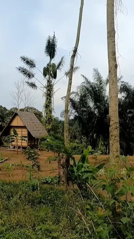 Tak Banyak Diketahui, Begini Cara Suku Baduy Memakamkan Warganya