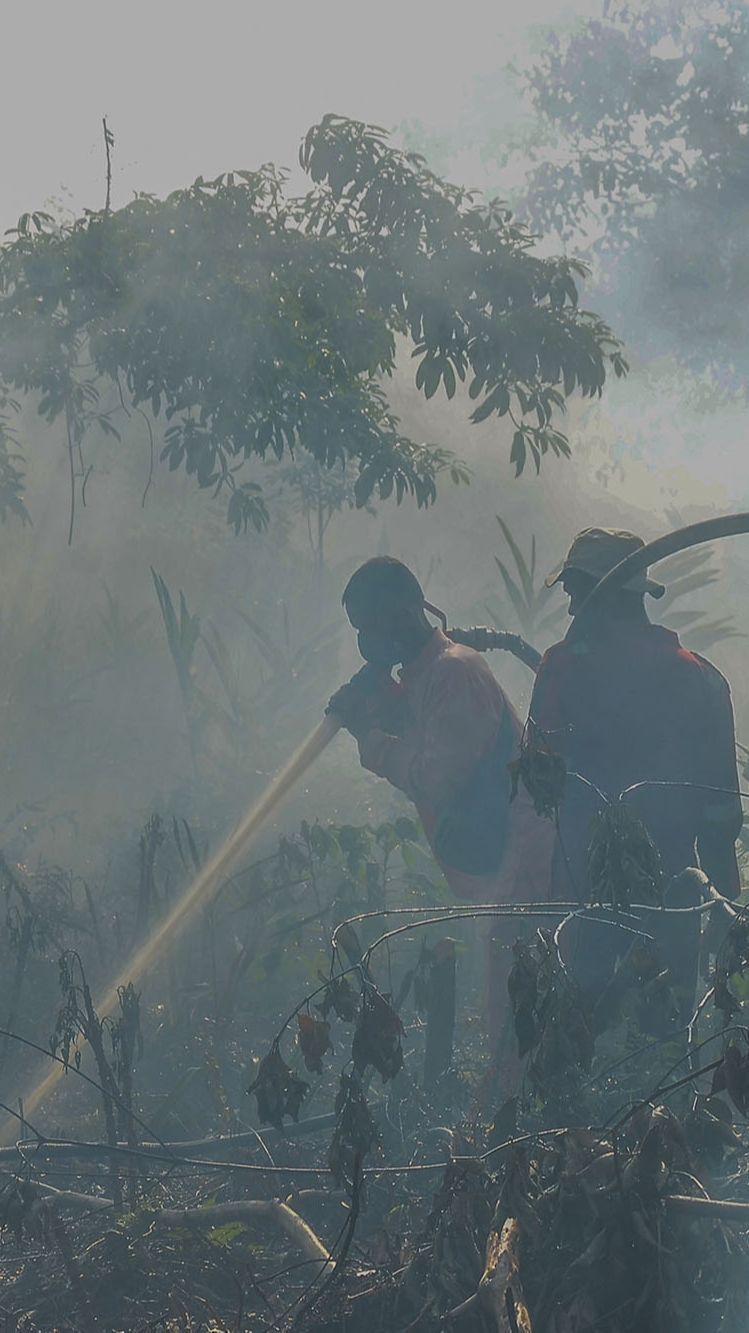 FOTO: Pekanbaru Siaga Kebakaran Hutan Akibat Cuaca Panas Ekstrem