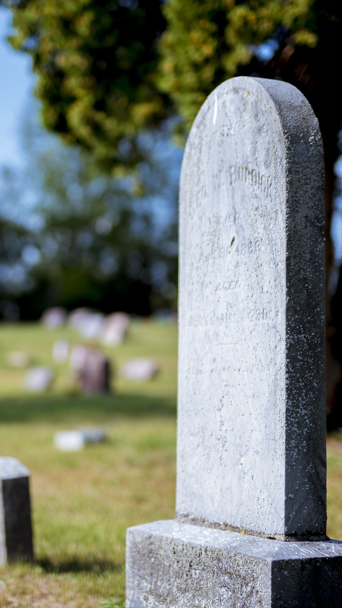 Ziarah ke Makam Para Nabi dan Sahabat Rasul, Aksi Pria Ini Curi Perhatian