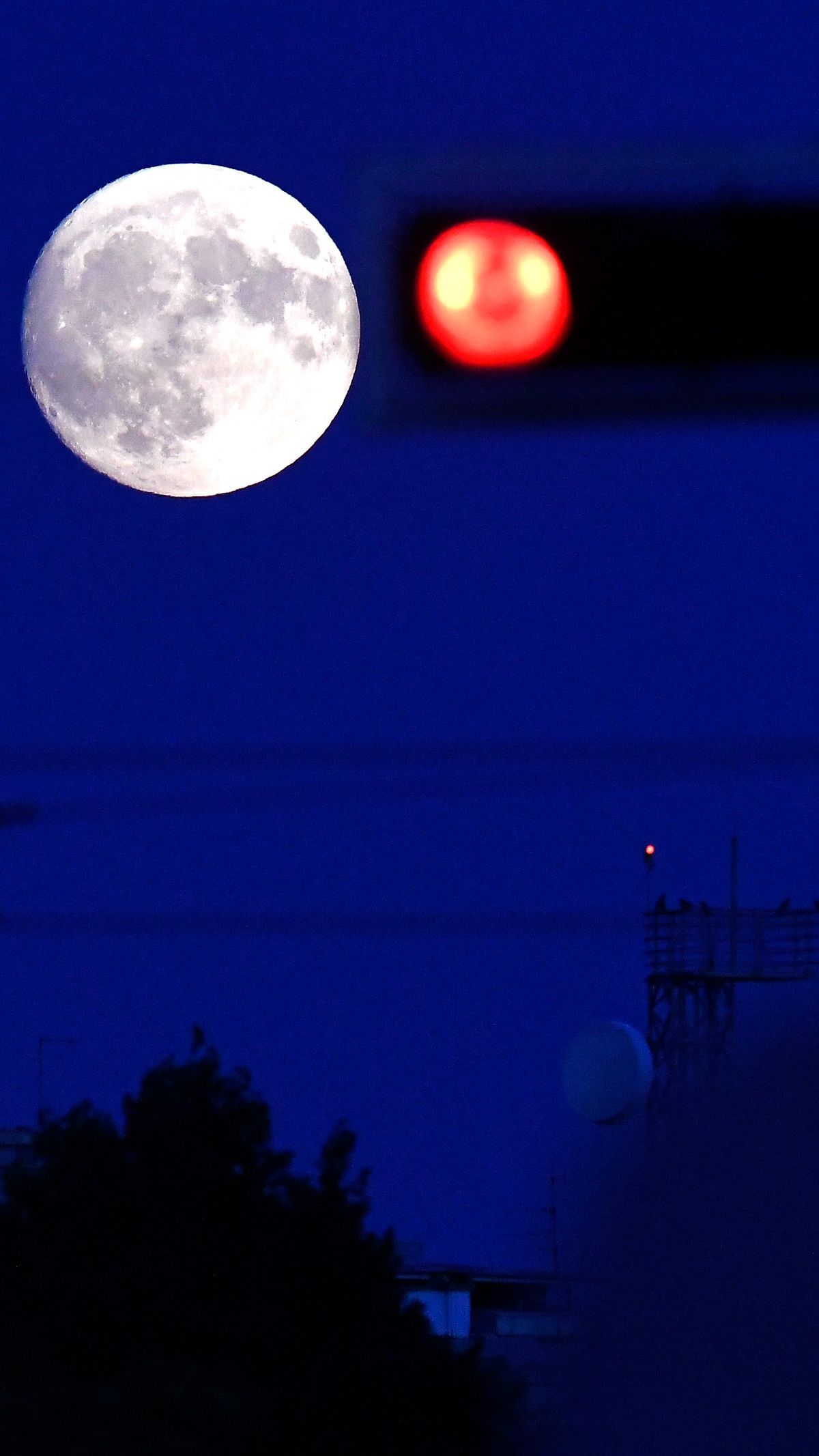 FOTO: Fenomena Supermoon Sturgeon Hiasi Langit Cerah Jakarta, Begini Penampakannya