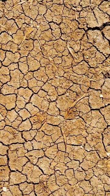 El Nino Justru Bawa Berkah Bagi Warga Rembang, Begini Penjelasannya