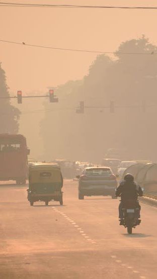 Cara Mengurangi Dampak Polusi Udara, Mulai dari Kebiasaan Sendiri