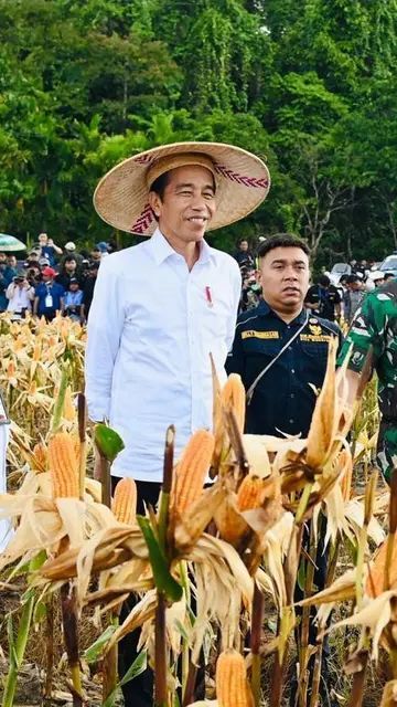 PKB Pertanyakan Motif PDIP Kritik Food Estate: Kenapa Baru Sekarang?