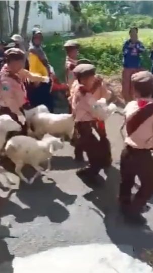 Bikin Geleng-Geleng, Aksi Pembubaran Paksa Regu Baris Berbaris Siswa SD Ini Disorot Warganet, 'Minggir Lu Semua'