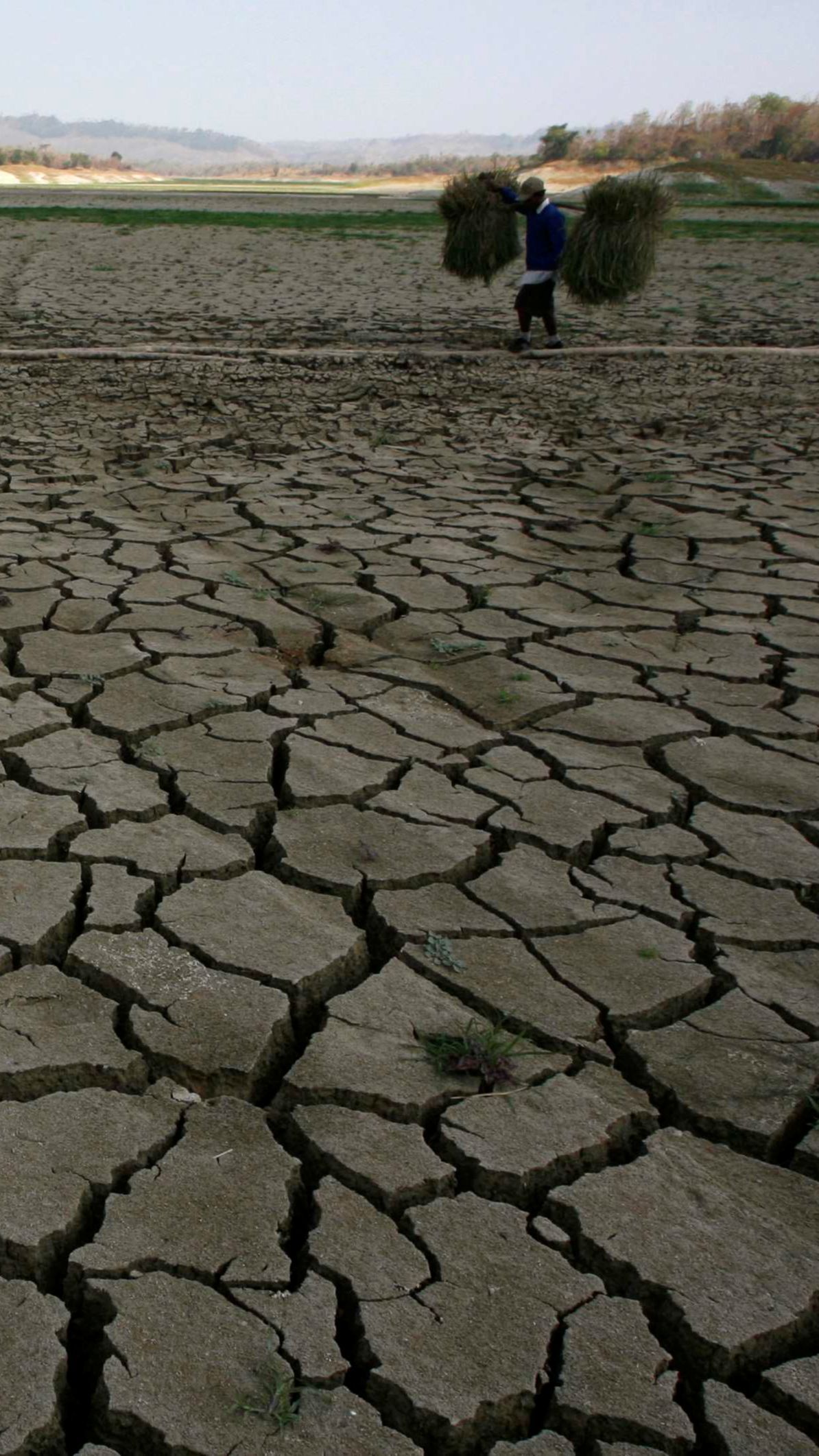 Jawa Tengah Dilanda Kekeringan, Grobogan Terparah