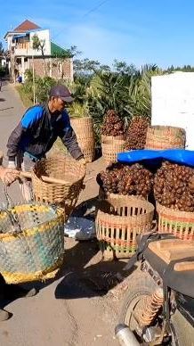 Jangan Dianggap Remeh, Begini Sederet Rumah Mewah Milik Petani Salak di Lereng Gunung