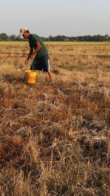 Waspada, Pasokan Air Bersih Indonesia Berkurang dan Berpotensi Picu Konflik