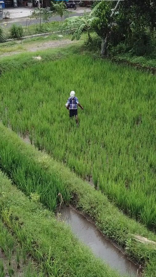 Kekurangan Pupuk Subsidi, Kementan Dorong Banjarbaru Ajukan Realokasi