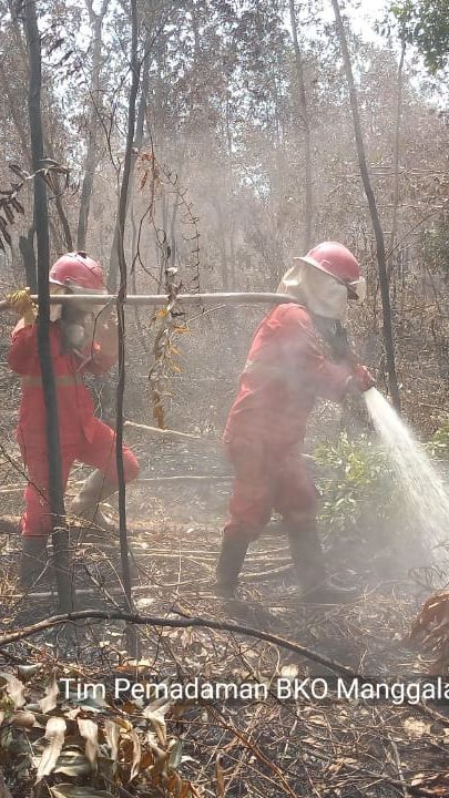 Ratusan Ha Lahan di Sumsel Terbakar, Diduga Ada yang Dipicu Puntung Rokok Dibuang Sembarangan