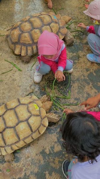 Mengunjungi Jogja Exotarium, Kebun Binatang Mini dengan Berbagai Wahana Menarik