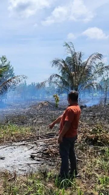 Karhutla di Sumsel Tak Kunjung Padam Meski 'Dihujani' 18,1 Juta Liter Air, Ini Penyebabnya