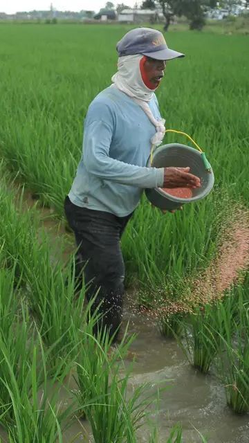 Terungkap, Ini Sederet Keuntungan Petani Bergabung dalam Program Makmur