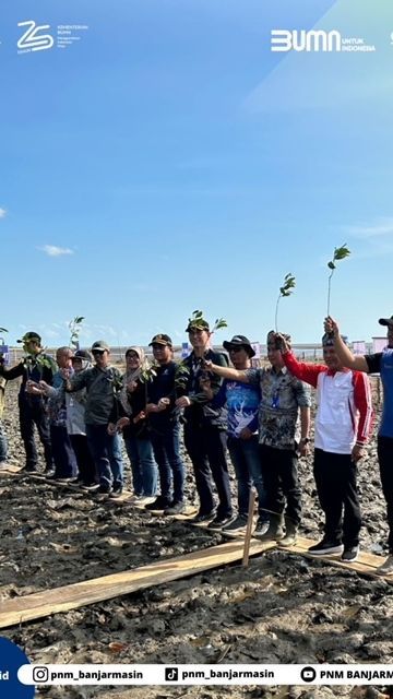 PNM Tanam 22 Ribu Mangrove untuk Tekan  Polusi