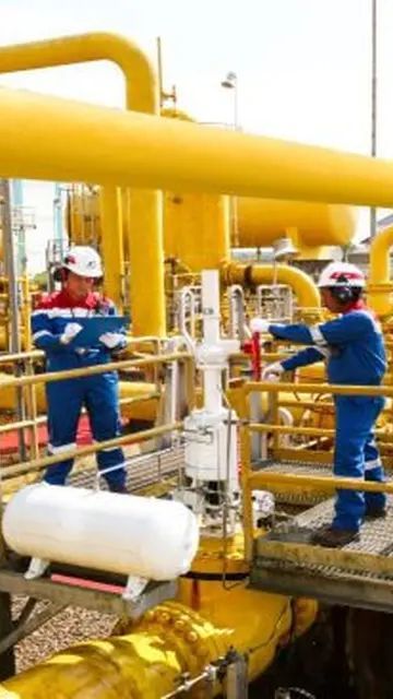 Ini Dilakukan PGN Amankan Saluran Gas ke Sumatera dan Singapura