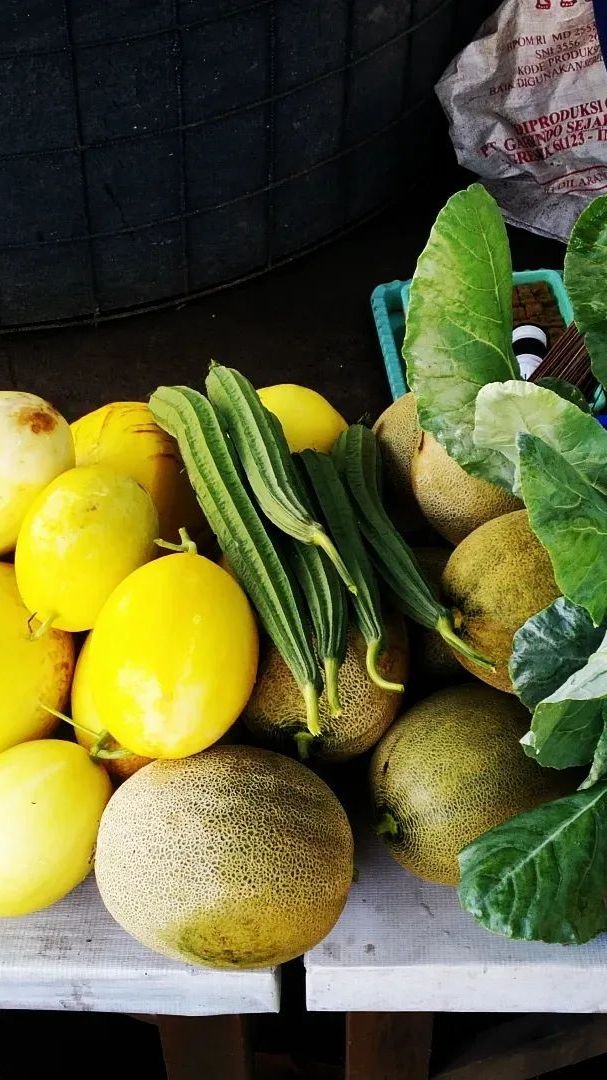 Warga Surabaya Gotong-royong Tanam Sayur dan Buah, Hasil Panen Dipakai Bangun Kampung