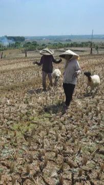 Kemarau Panjang, 62 Desa di Demak Susah Cari Air Bersih