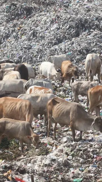 Jogja Darurat Sampah, DLHK Tunjuk 10 Desa Percontohan Kelola Sampah Secara Mandiri