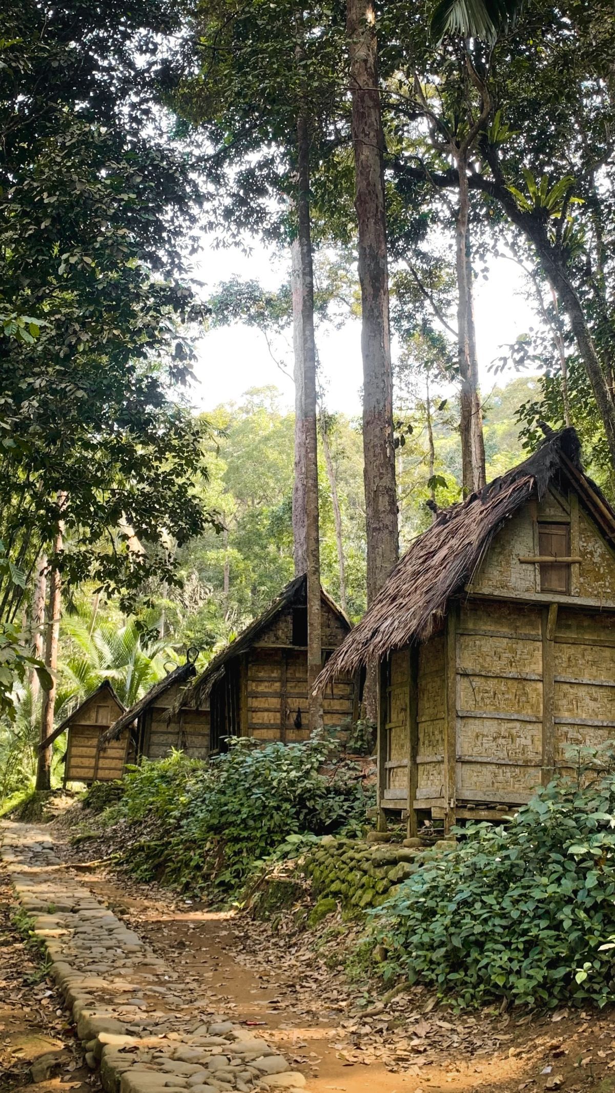 Terapkan Sanksi Adat, Begini Akibatnya Jika Nekat Foto-Foto di Kampung Baduy Dalam