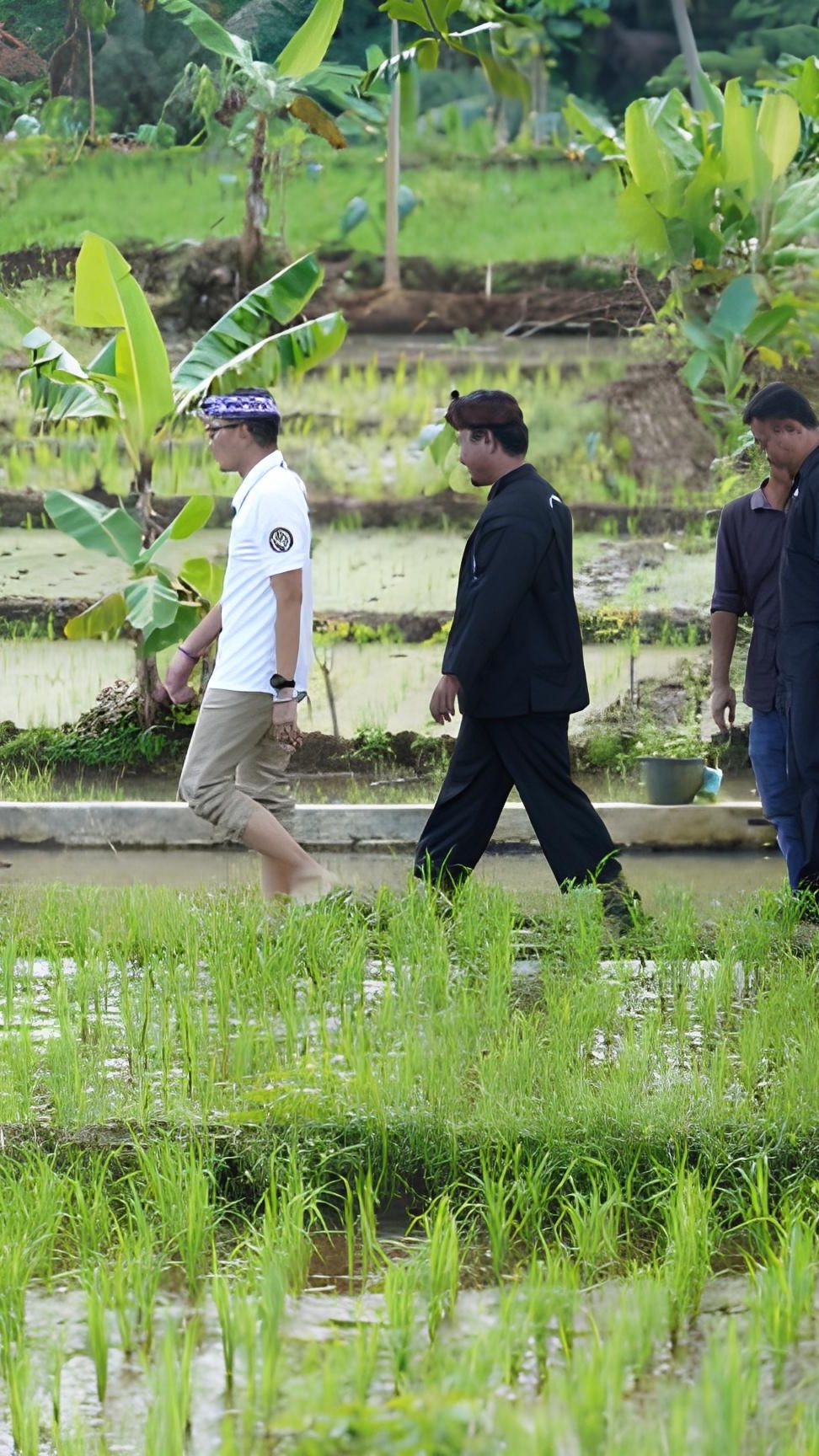 Merasakan Kearifan Lokal Sunda di Desa Wisata Selamanik Ciamis, Dapat Penghargaan Kemenparekraf