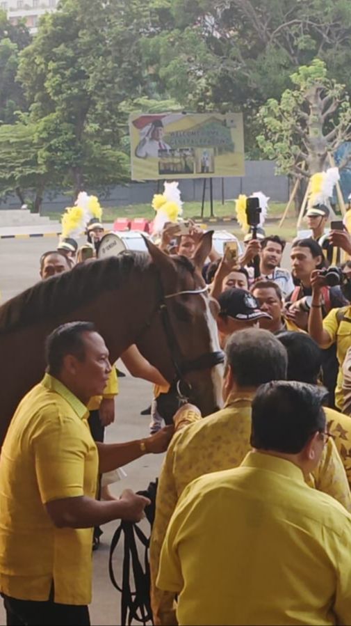 Airlangga Beri Kuda Cokelat ke Prabowo, Ini Maknanya