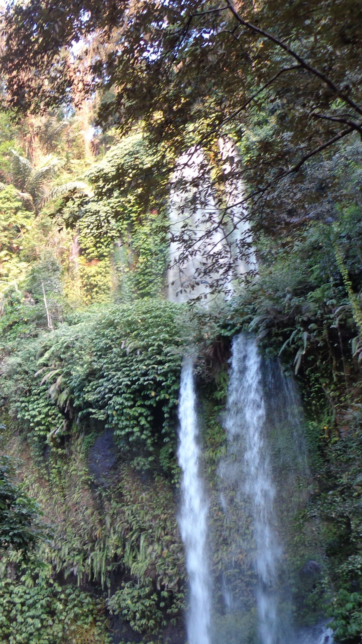 8 Tempat Wisata di Lombok Selain Pantai, dari Gunung hingga Edukasi