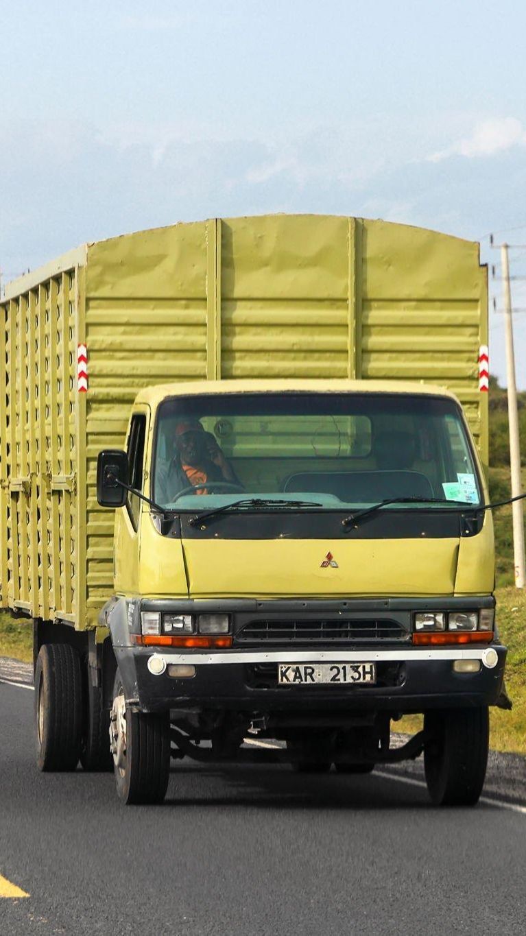 Jenis Truk di Indonesia, Lengkap Beserta Penjelasan dan Kapasitasnya