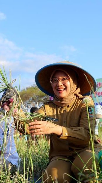 Tanam Bawang Merah Semi Organik, Kelompok Tani Banyuwangi Panen 14,2 Ton per Hektare