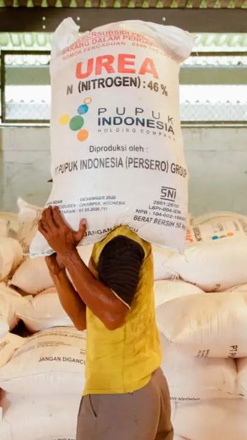 Petani Bisa Lapor ke Nomor Ini Jika Temukan Harga Pupuk Subsidi Lebih Mahal dari HET