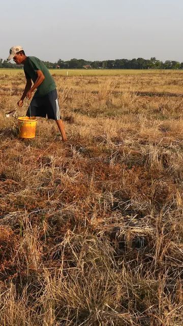 Kekeringan dan Kemiskinan di Jateng Jadi Sorotan Media Asing