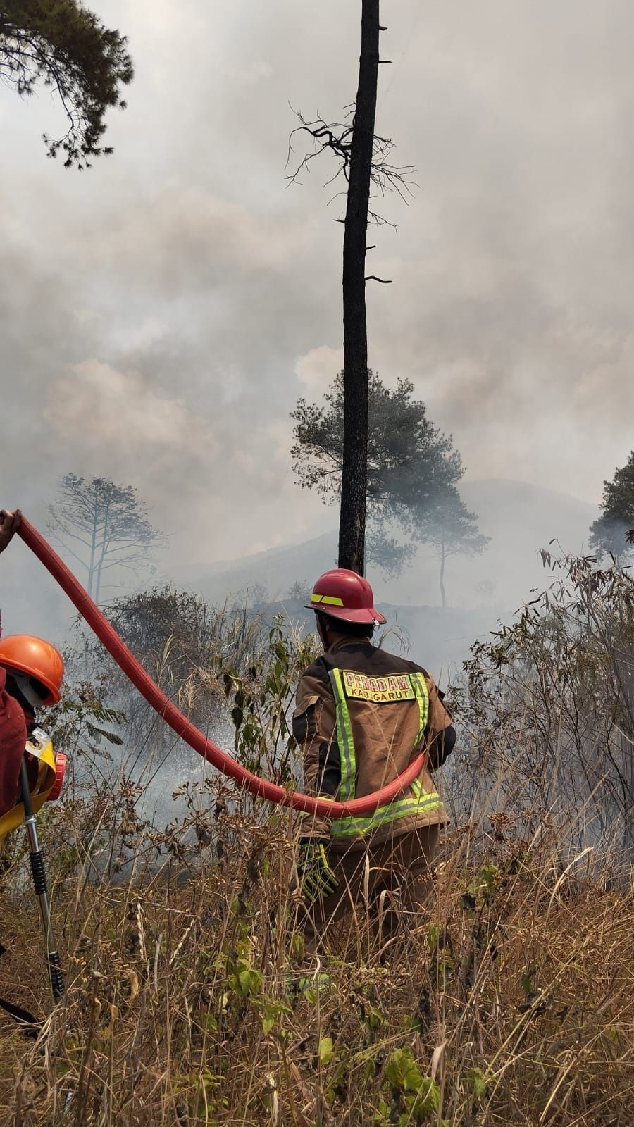 Terungkap, Penyebab Kebakaran di Gunung Guntur Akibat Siswa SMP Bakar Alang-Alang