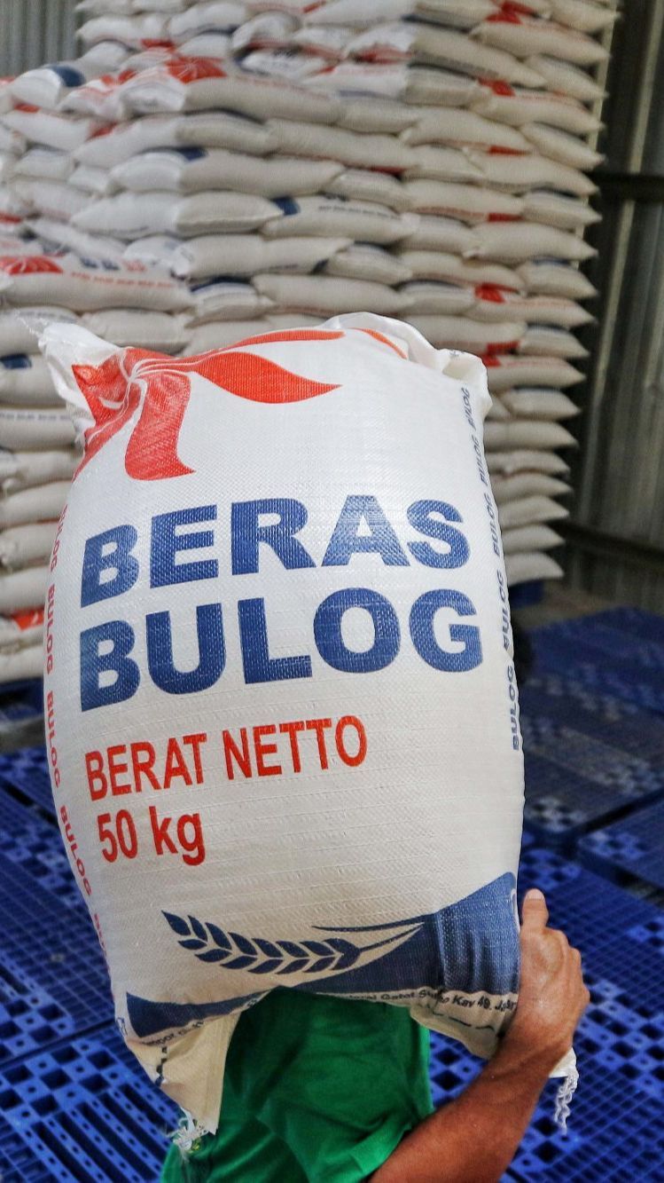 Harga Beras Terus Meroket hingga Pecah Rekor, Kapan Turunnya? Begini Kata Bulog