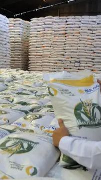 Luncurkan Program Bansos, Pemerintah Target Harga Beras Turun Jadi Rp11.000 per Kg