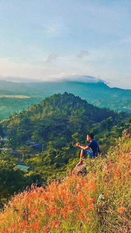 Dulu Jadi Tempat Temu Pasangan Kekasih dari Kerajaan Mataram dan Pajang, Begini Eksotisnya Negeri Atas Angin Bojonegoro