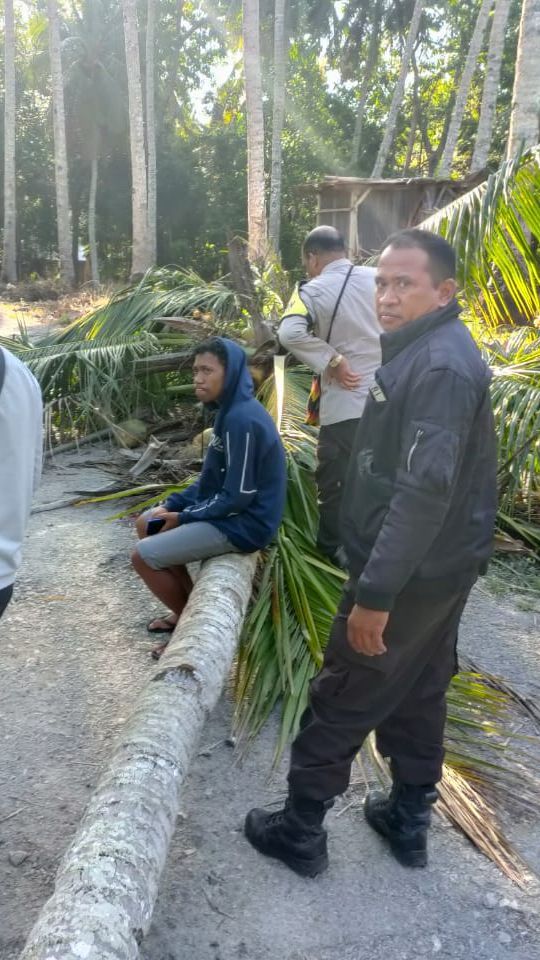 Angin Kencang, Siswa SMA di Kupang Tewas Tertimpa Pohon Kelapa Tumbang