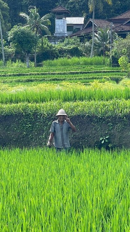 Program Irigasi Perpompaan Selamatkan 48 Ha Sawah di Kota Banjarmasin