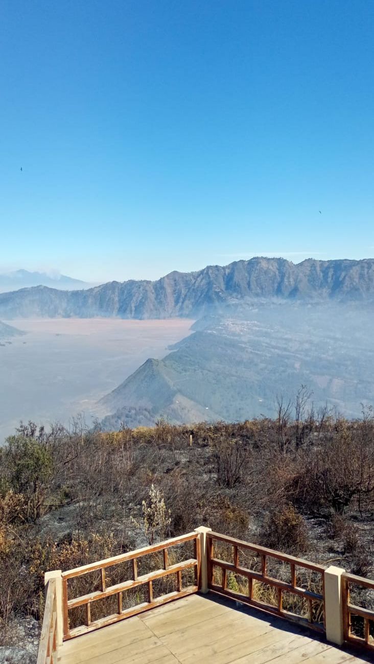 Kronologi Lengkap Kebakaran Bukit Teletubbies Gunung Bromo, Sebelum atau Setelah Foto Prewedding?