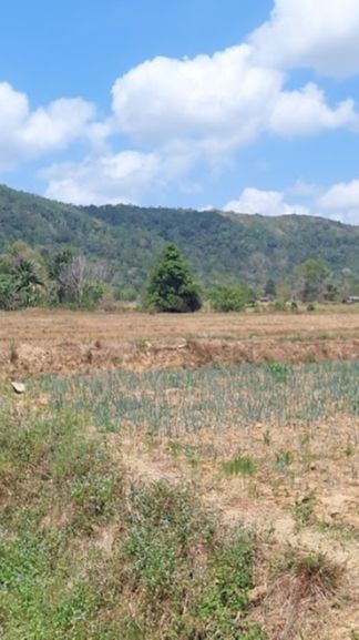 Irigasi Sumur Tanah Dalam  di Tanah Laut Dukung Gernas Penanganan Dampak El Nino Seluas 5732 ha