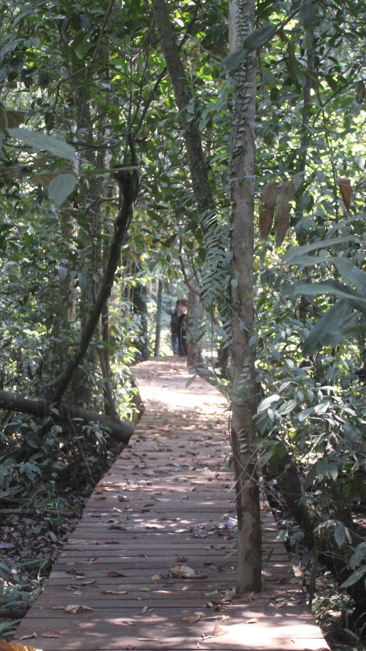 Mengenal Lebih Dekat 2 Wanita Cantik nan Tangguh, Penjaga Hutan Gambut Sungai Buluh Jambi