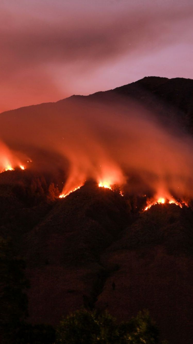 Kuasa Hukum Tersangka Kebakaran Bukit Teletubbies Bakal Laporkan Balik Pengelola Gunung Bromo