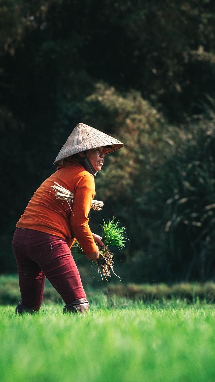 Ilmuwan Ungkap Temuan Awal Manusia Mulai Bercocok Tanam