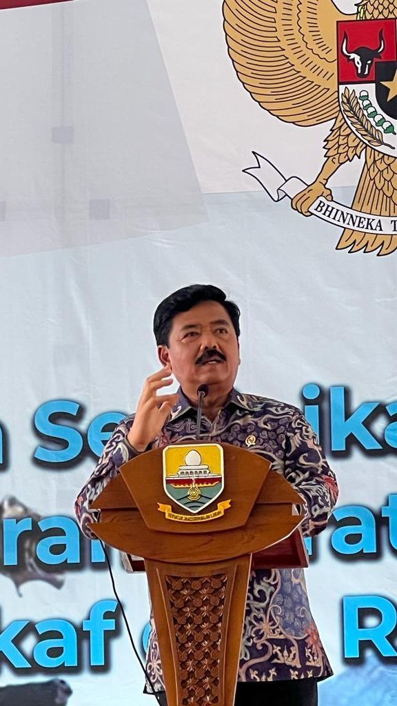 Menakar Peluang Menteri Hadi Tjahjanto Jadi Cawapres