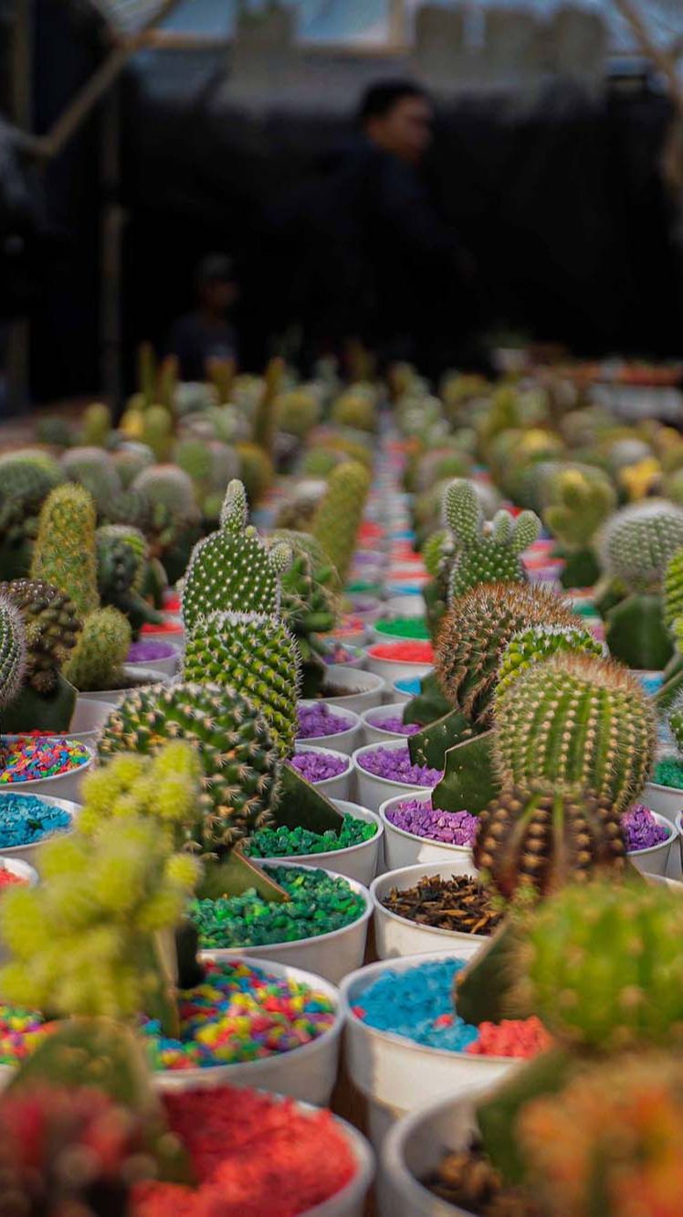 FOTO: Mengunjungi Pameran Flona 2023 di Lapangan Banteng, Hadirkan Aneka Flora dan Fauna