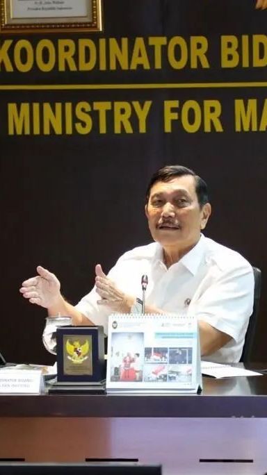 VIDEO: Luhut Tantang Pengkritik Investasi Rempang: Cek, Jangan Asal Ngomong!