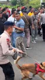 Bikin Terkejut, Momen Anjing Pelacak Tiba-tiba Serang dan Gigit Polisi 'Maaf Komandan ini di Luar Skenario'