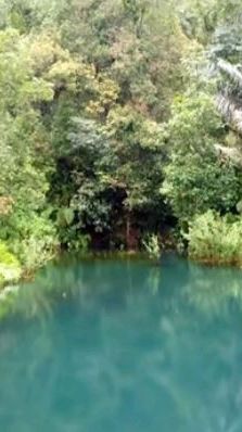 Mengunjungi Danau Banaran di Kendal, Tawarkan Sensasi Berjalan di Atas Air