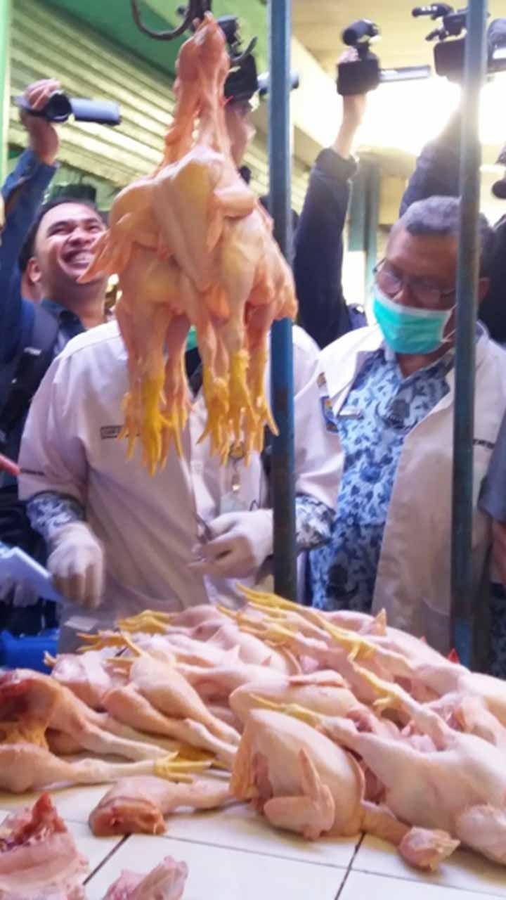 CEK FAKTA: Tidak Benar Sayap dan Leher Ayam Broiler Disuntik Hormon Penyebab Kanker