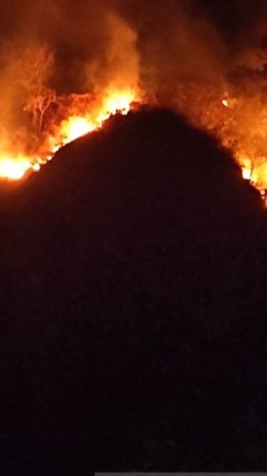 Gunung Jayanti Terbakar, Kobaran Api Mengarah ke Gedung BMKG Pelabuhan Ratu