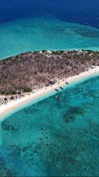 Mengunjungi Pulau Tabuhan, Menikmati Indahnya Hamparan Pasir Putih di Banyuwangi